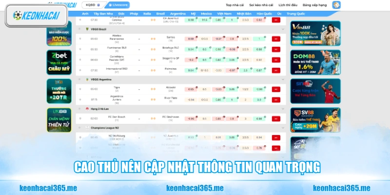 Livescore - Cập Nhật Tỷ Số Chính Xác Theo Thời Gian Thực 2 Cao thủ nên cập nhật thông tin quan trọng