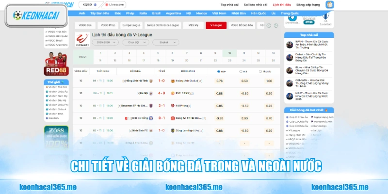 Chi tiết về giải bóng đá trong và ngoài nước