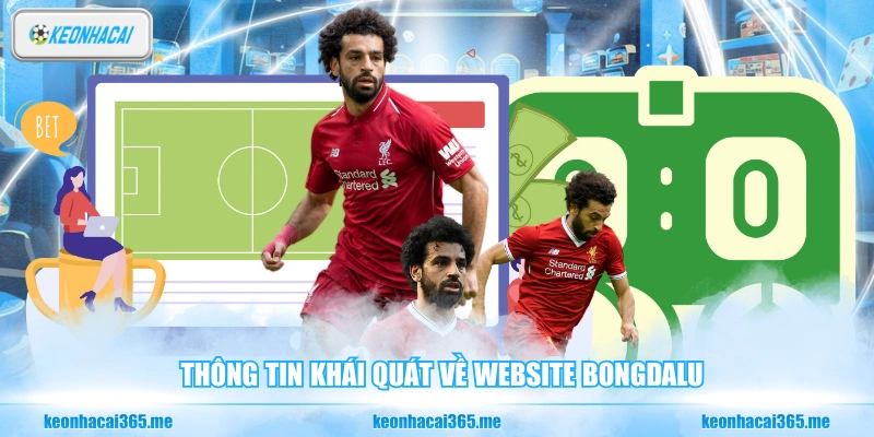 Thông tin khái quát về website BongDaLu
